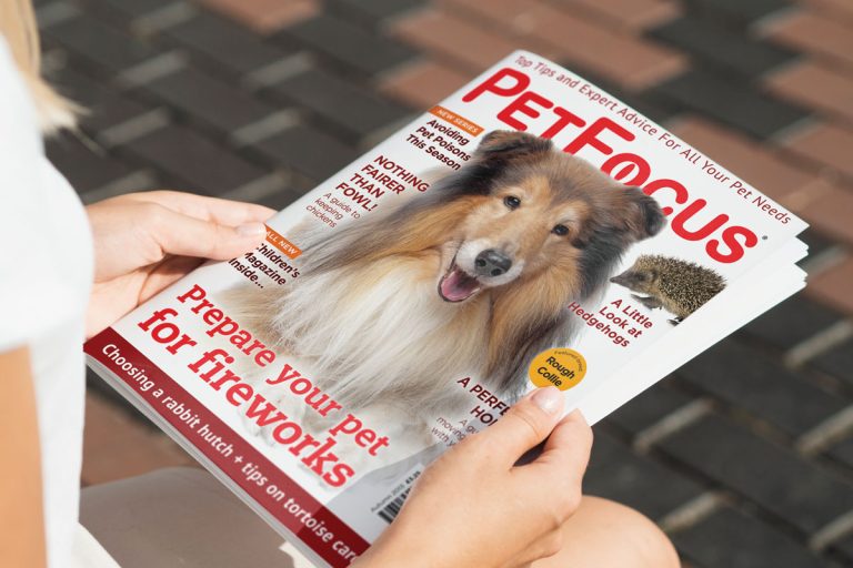 PetFocus Magazine feature
